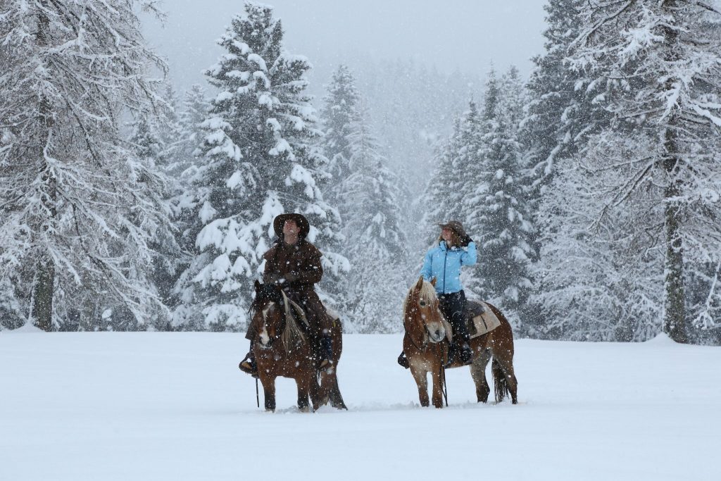 Alpe Cimbra resort - Fancy a bit of horse-riding through the snowy forests? Photo by: Azienda per il Turismo Folgaria Lavarone Lusérn