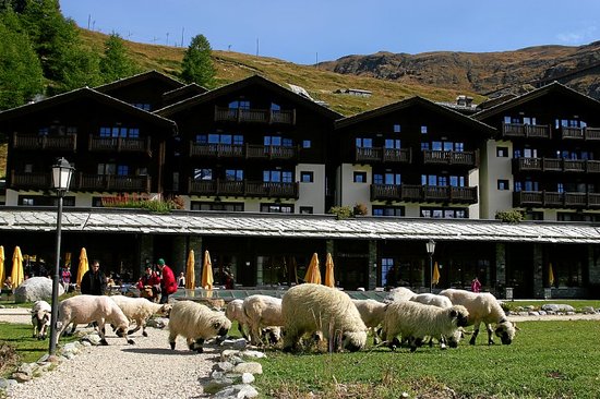 Exterior of the Riffelalp 2222m Resort. 