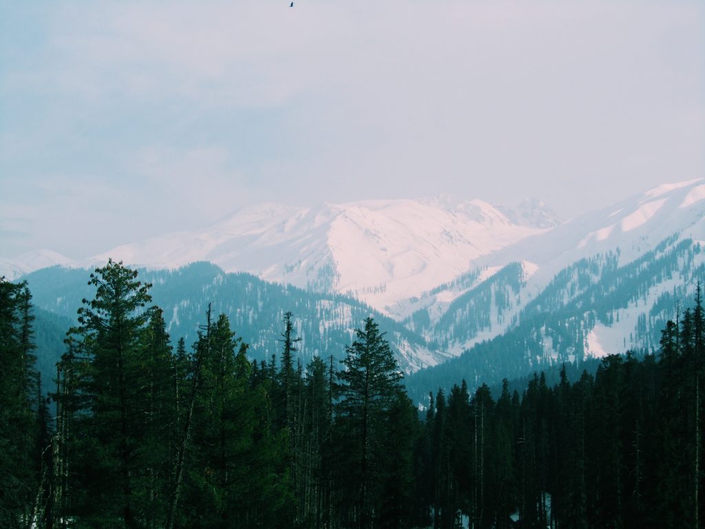 Gulmarg- Unsplash photo by Anjali Mehta. Jammu (Gulmarg) Cable Car Accident: 2 workers died and four injured.