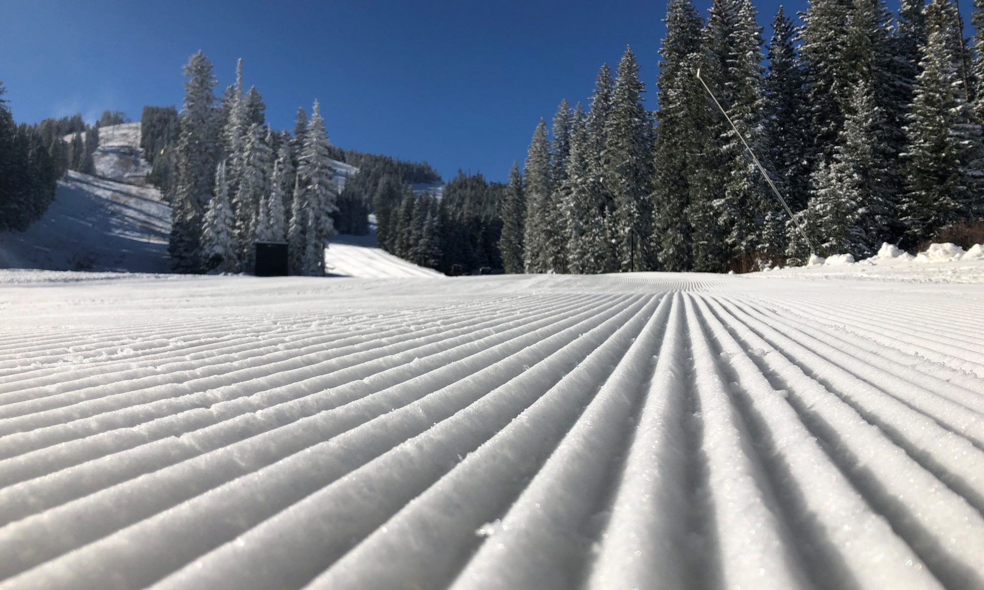 Eldora-Sam Bass. Colorado Ski Country USA. Colorado Ski Country USA Announces Double Digit Increase in Skier Visits in 2018-19 Season.