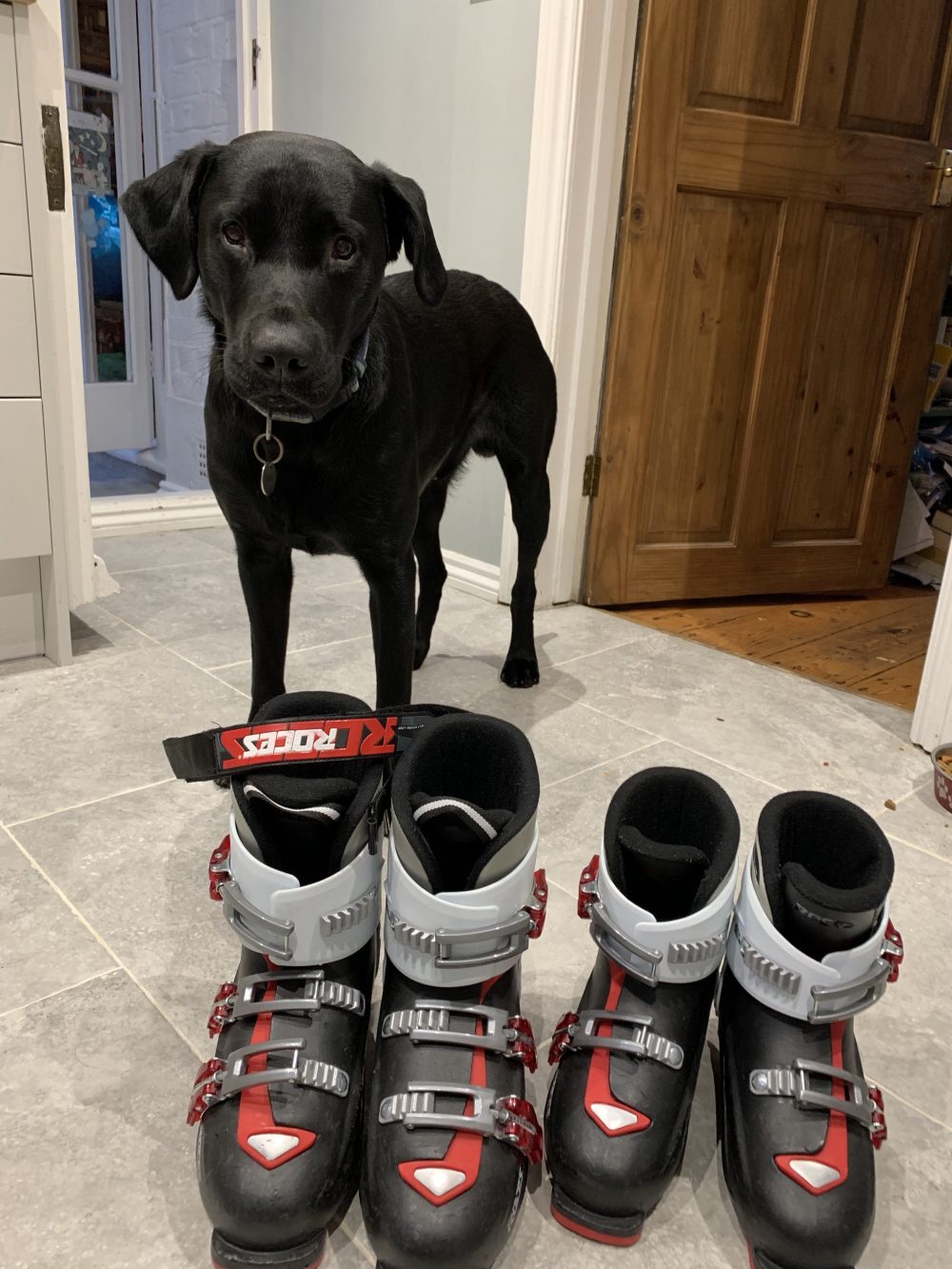 The Roces ski boots of my kids just needed a bit of setting adjustment and now we are ready for a new ski season. Ozzy was overlooking the grand tasks! 7 things that can help you when taking kids skiing.