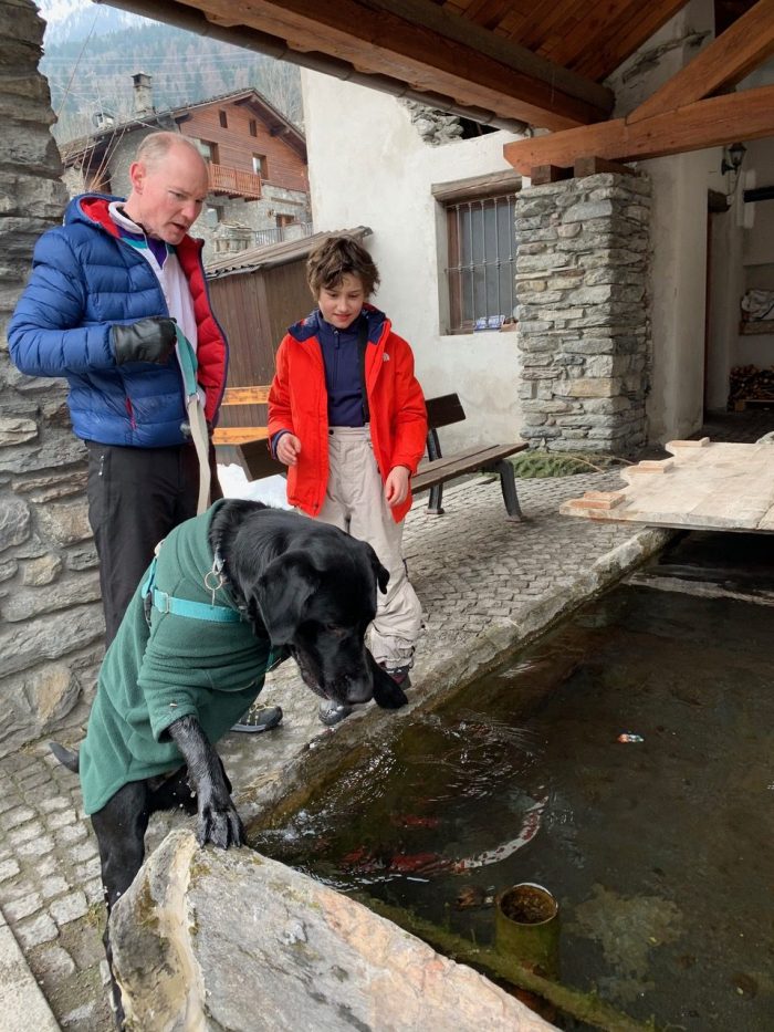 Ozzy discovered the water fountains. Look how handsome he looks with his turtleneck- a la Alain Delon or Sean Connery. EU Regulations for travelling with your dog if we have a 'No Deal Brexit'. Photo: The-Ski-Guru.