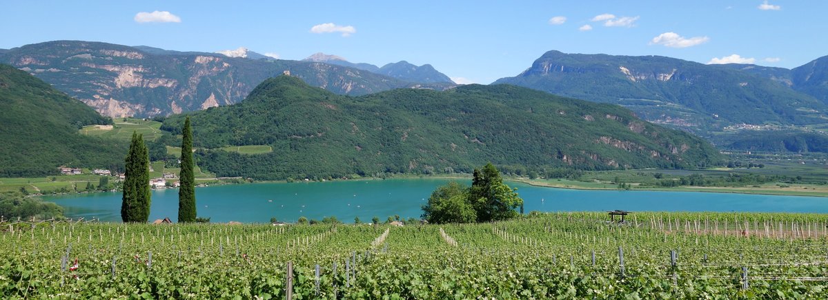 Lago di Caldaro. Photo: Kalterersee.com - A Must-Read Guide to Summer in South Tyrol.