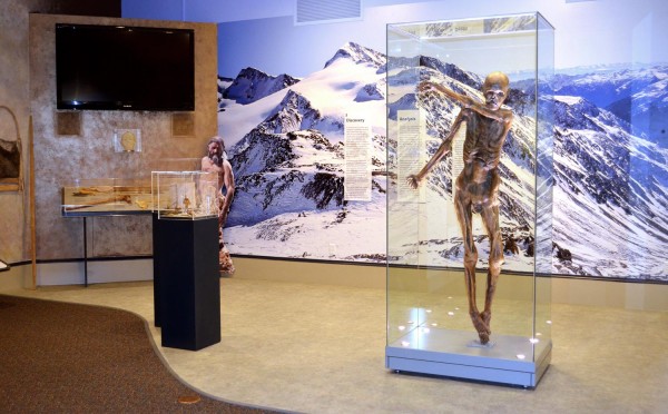 Ötzi in a crystal cage and how Ötzi might have looked behind. The iceman museum in Bolzano. A Must-Read Guide to Summer in South Tyrol.