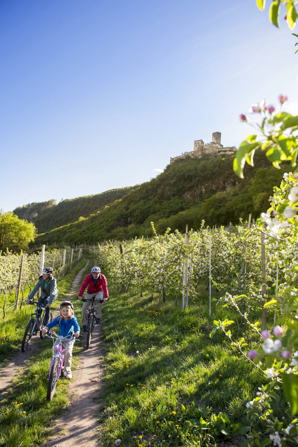 Photo: IDM South Tyrol / Alex Filz. Bicycle paths for the whole family wind their way through the south of South Tyrol, including the apple orchards at the foot of Hocheppan Castle. A Must-Read Guide to Summer in South Tyrol.