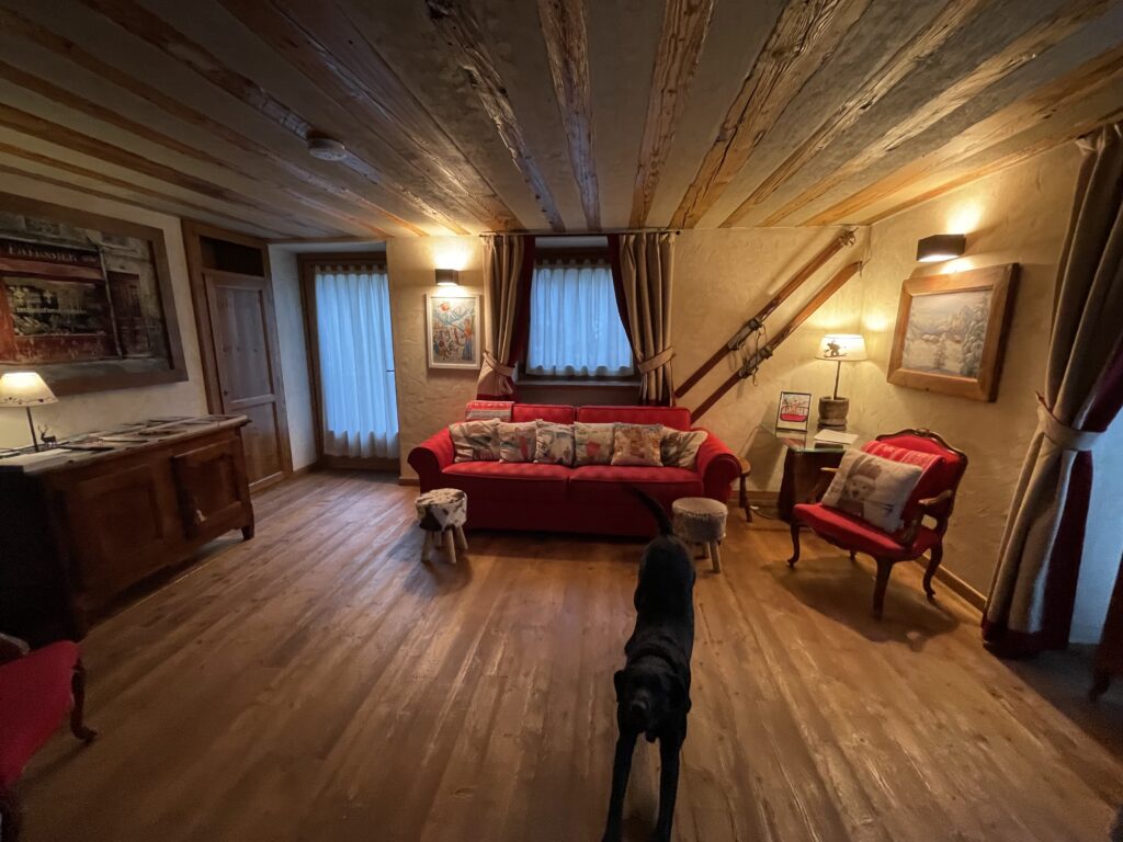 Ozzy at home after a long trip from London to Morgex in the Italian Alps. Getting an European Passport for your Pet to travel to Europe? Not for everyone!