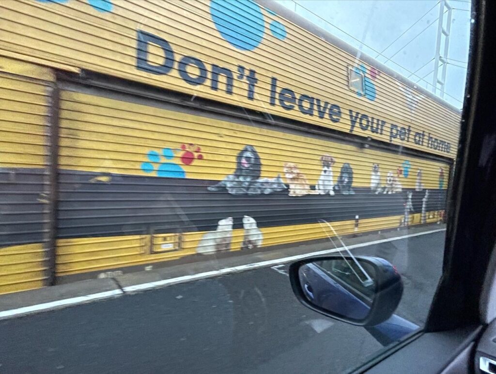 Going on the Eurotunnel is a great way to get fast into the continent from the UK. Photo: The-Ski-Guru.