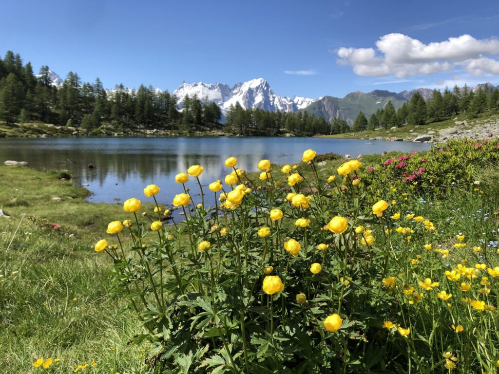 Lago d'Arpy- photo: DiscoverMorgex.it