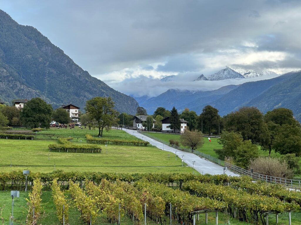 Morgex is the location of the highest vineyards in Europe, home of the Blanc de Morgex et La Salle. Photo: The-Ski-Guru.