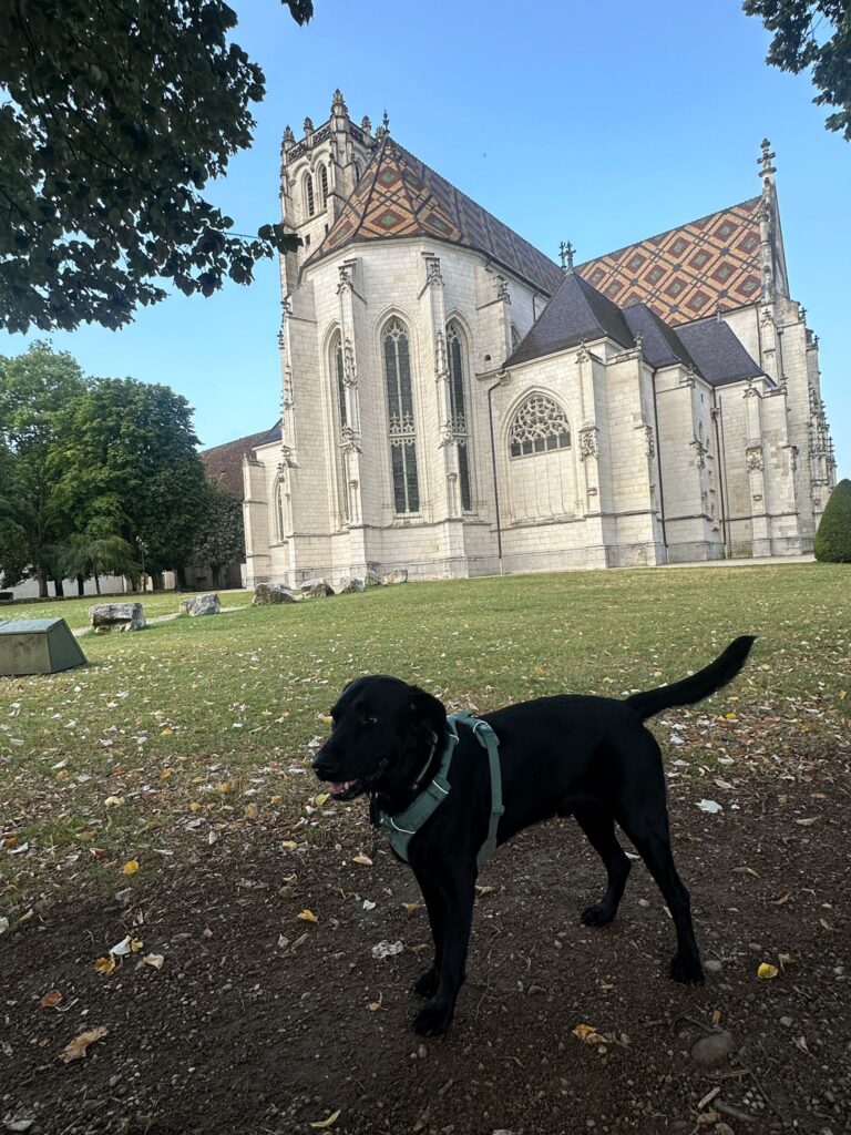 A quick walk on the gardens of the Monastere Royal de Brou before going to Troyes. Photo: The-Ski-Guru