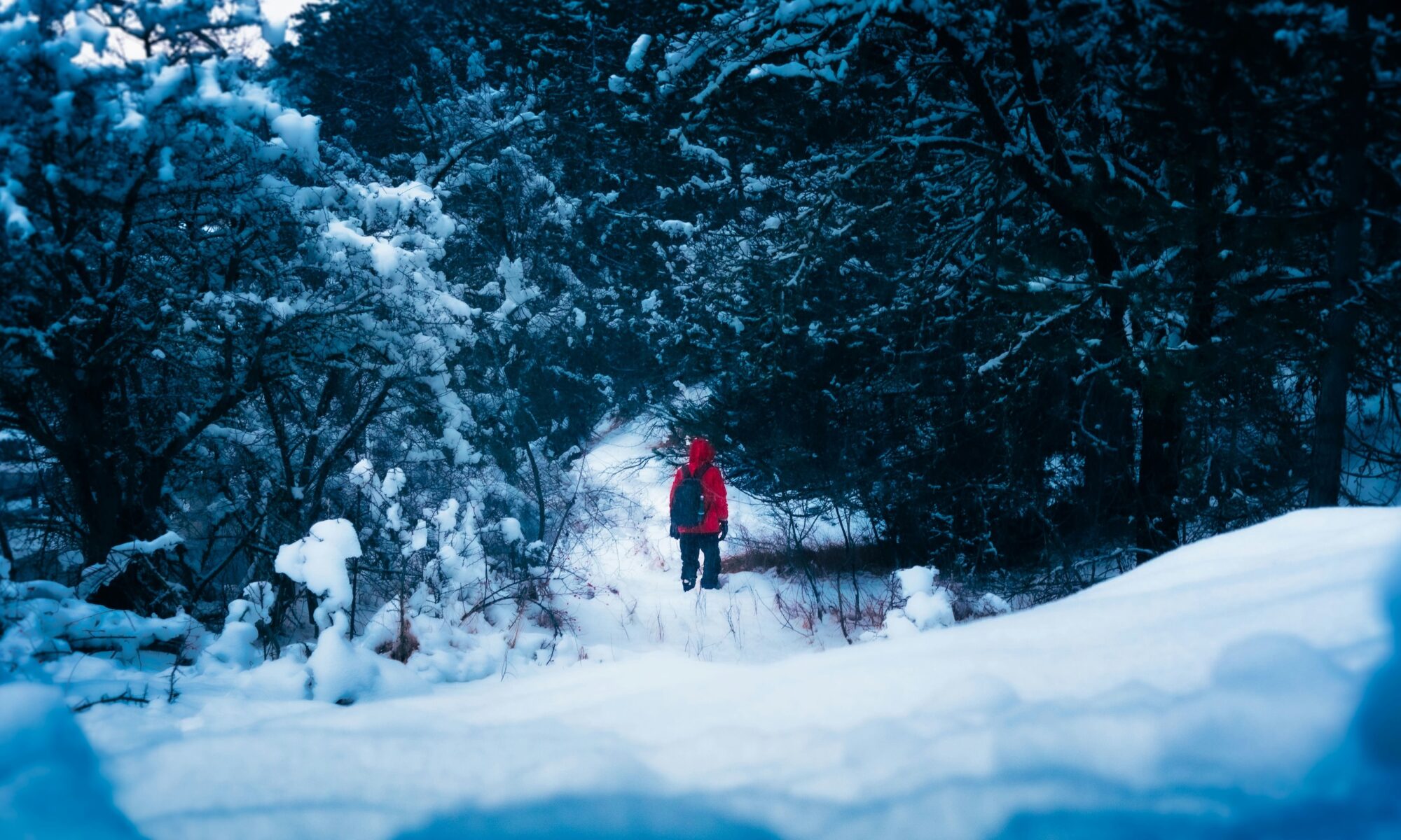 Roccaraso, photo by Tom Frances Palattao. Unsplash. Overtourism at Roccaraso after 10 thousand Neapolitan “skiers” descended on the ski resort.